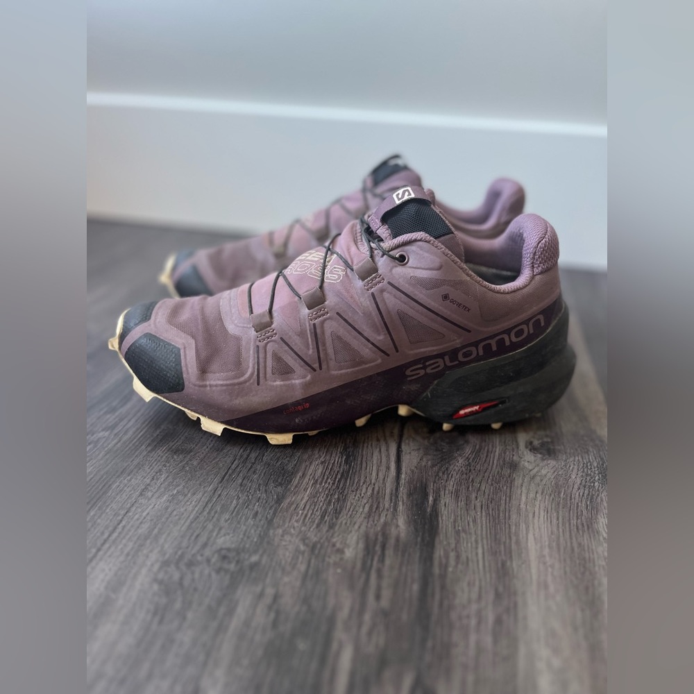 Salomon gortex speed cross